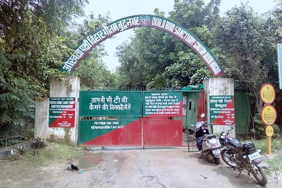 Noida
